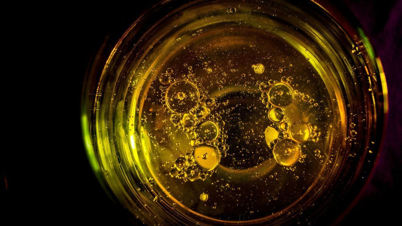 Óleo de argan: como usar e quais os benefícios para a pele